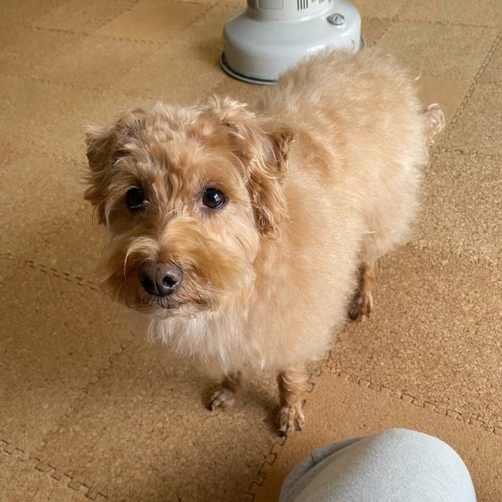 C3279253 5dc3 4e9c b5c0 5803d162579f 1671929543808