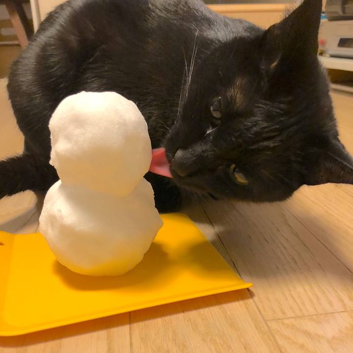 C3279a71 f438 4cb5 a8e9 92081bc59f3e 1516620475130