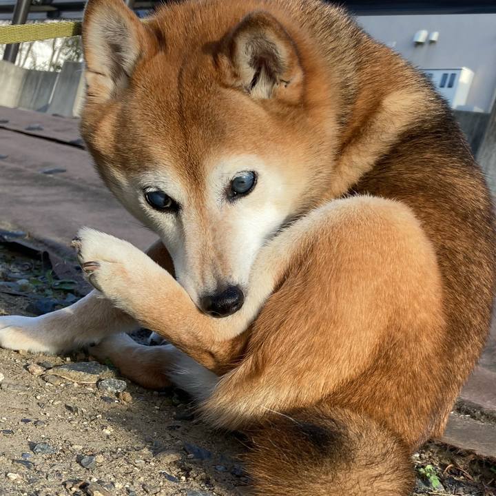 C327dcf6 c111 446e b9da 71096c77de97 1708252868492