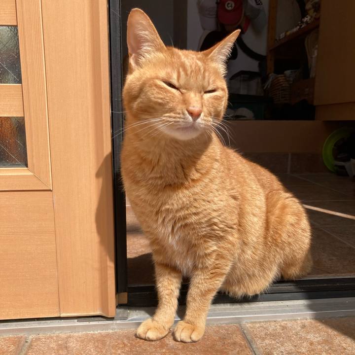 C327dd8e feaf 4618 b915 12c22816a709 1754139779462