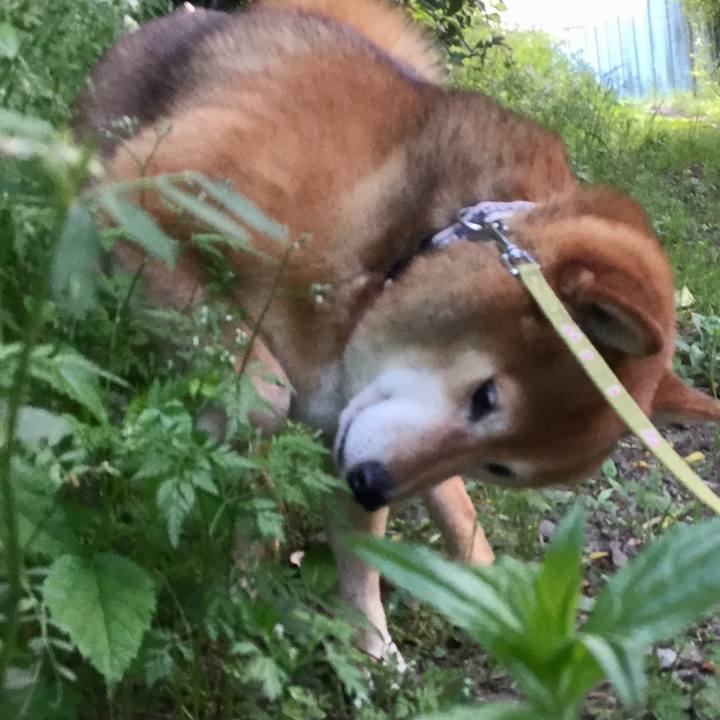 C3287a4f fc28 4362 98d0 7970aded596a 1589357505513