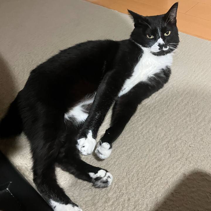 C3287ff4 d1a6 457f ba5b 7086fb6b3185 1725593577397