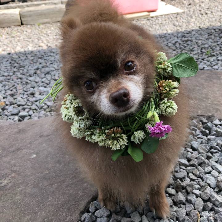 C328b0a3 45c7 4843 8337 13751bbbafaa 1592870995211