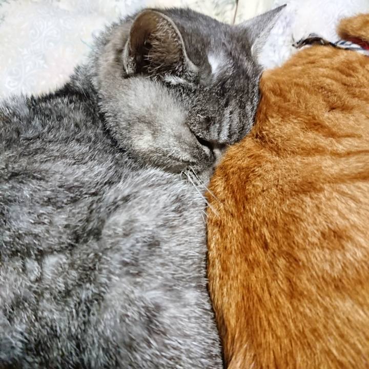 C328c5a4 d61d 4f31 8772 40fa94508399 1576153751893