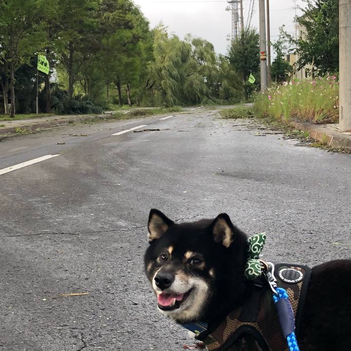 C328cd63 40de 4855 93bc b4ba47fa2e2b 1536096326059