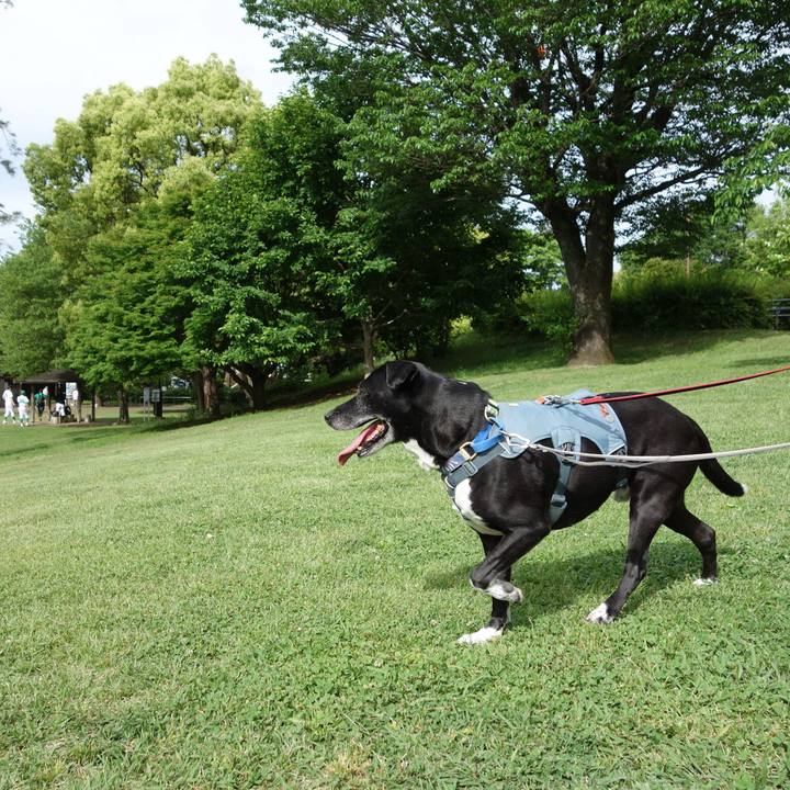 C328d3ec ae9c 43e1 ae7b 747fd125f71a 1715475328682