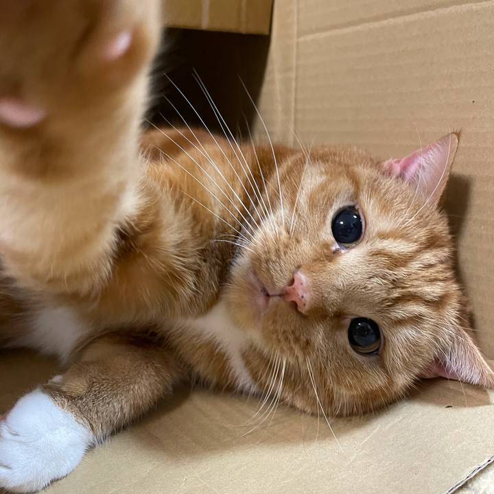 C328de4f 9cc6 423a 890b 2483d5c6cf7f 1616329578047