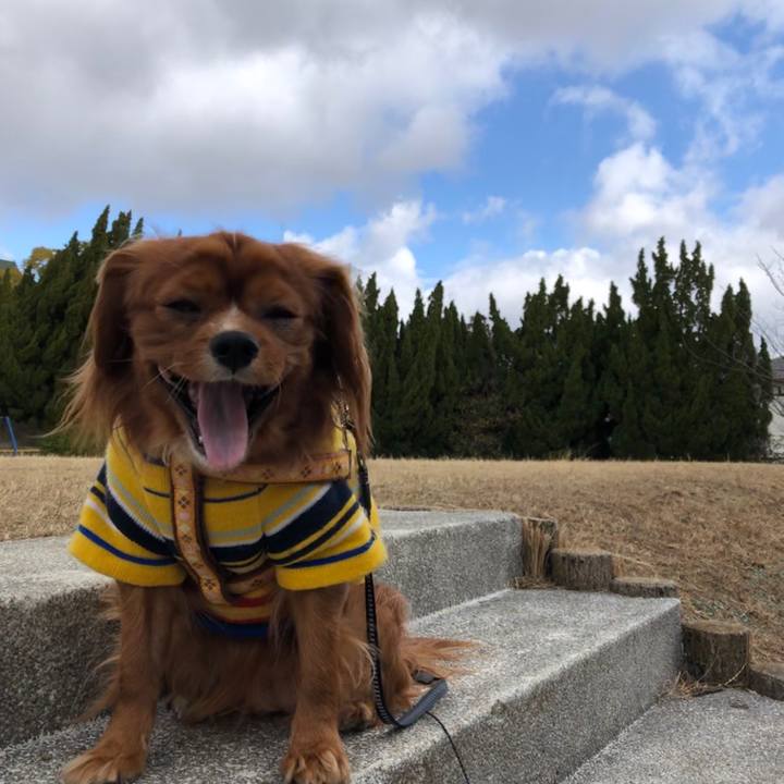 C328e0a0 2dd2 4a60 800e 6065d694bd43 1581222940616