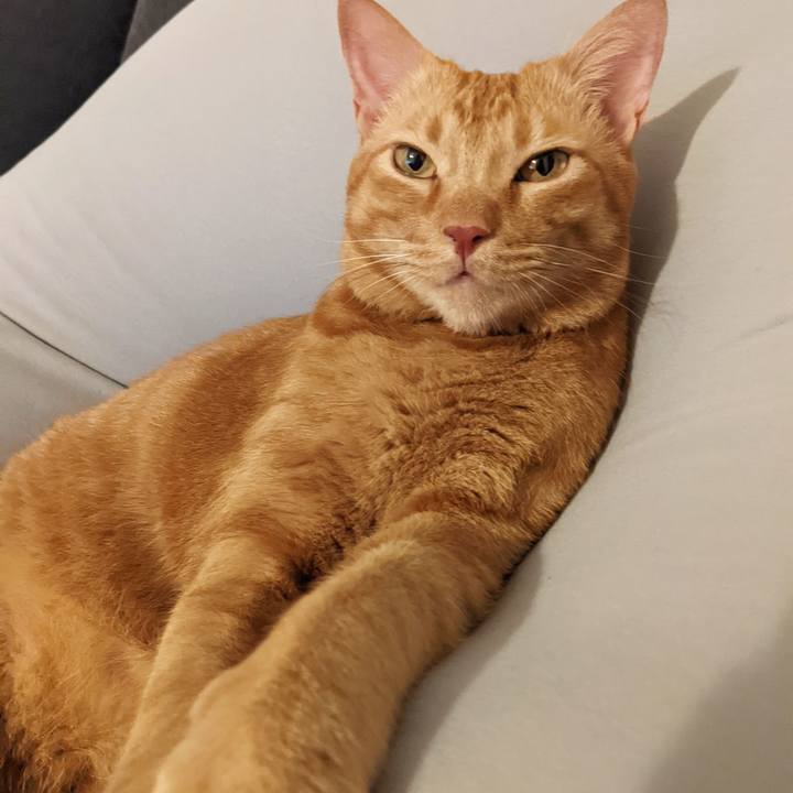 C3290083 b2be 4a4e a502 e109b99002ba 1663059150075