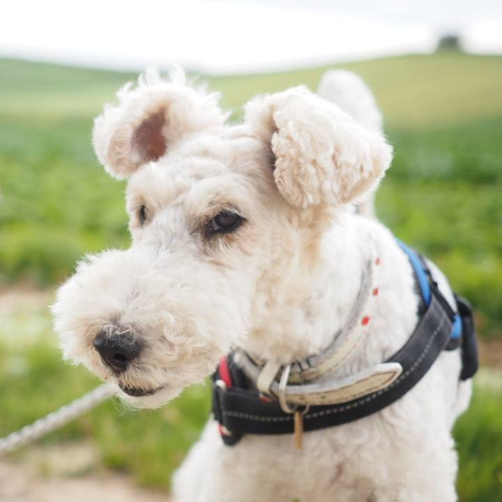 C3291e69 2dad 4521 8ec8 aab8d539f1c0 1563021498564