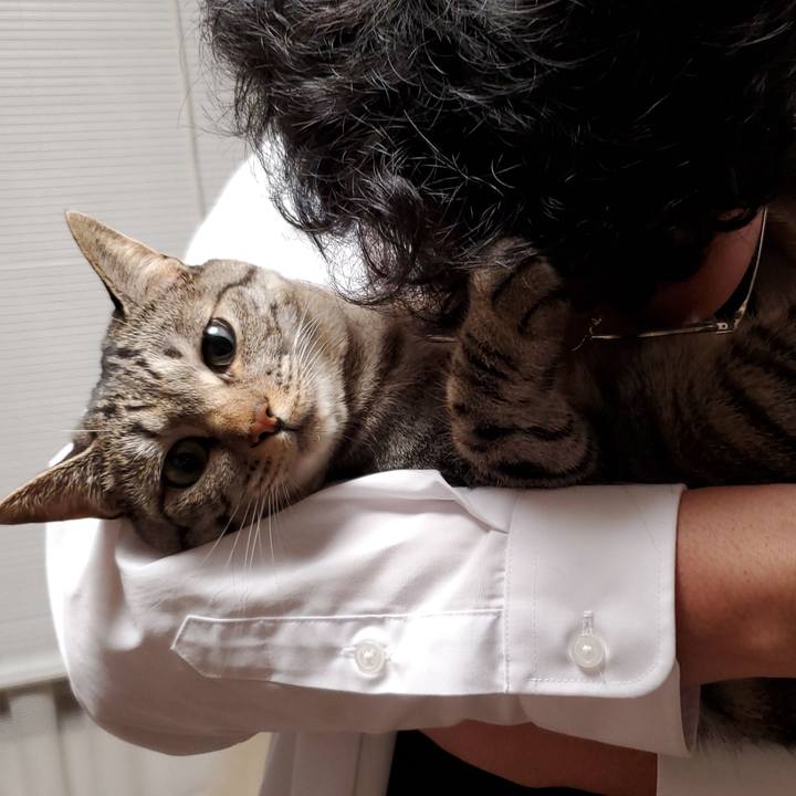 C3293816 f226 4fb1 aeae e31bcb37556d 1713517864112