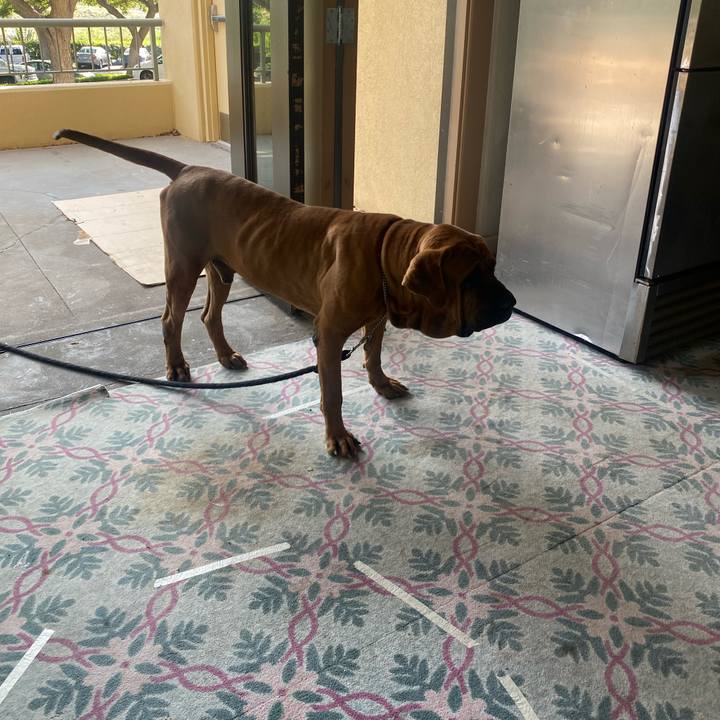 C3296115 3d35 4f41 818d 69192f51b36e 1673942689236