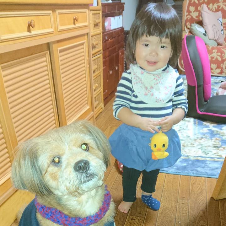 C3296aa9 a2d1 4f66 905c 7e519a77eb39 1578289228012