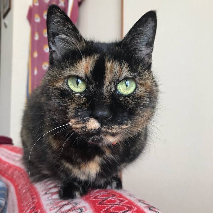 C3297c54 b52c 473f 8f33 61c4b5281ff8 1582247575130