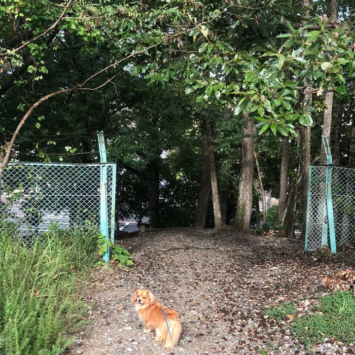 C32980b7 0952 41a1 a1c8 716b03618e03 1538869011956