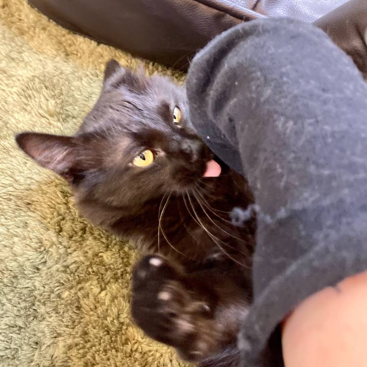 C329d077 5ef3 4f0f 8e1f e5cf45dcfe34 1715068597918