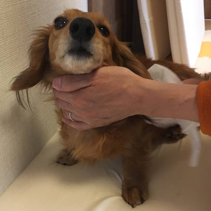 C329efbb cfcb 4723 9782 8a4b926052fa 1521809692229