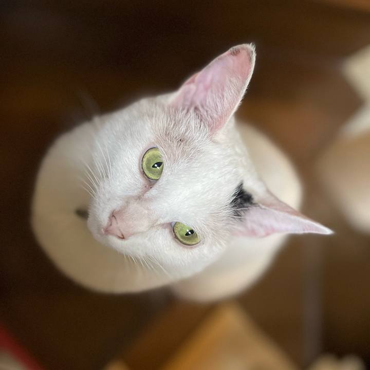 C329f468 56a3 4e33 8c78 30b7a199535c 1754520650949