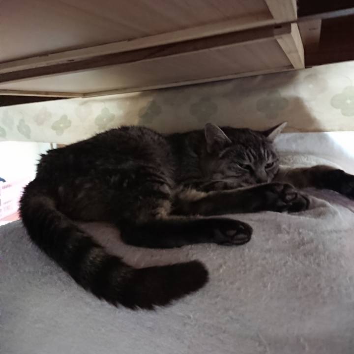 C32a58bf af97 497a 8634 90ac3af99355 1573873119109