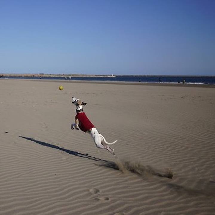 C32a5af8 cb2a 4652 8f49 ace6090a7ef0 1545825286648