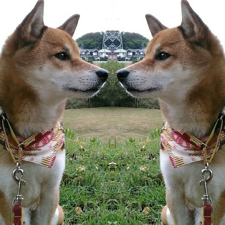 C32aacf3 f5c4 4185 88c6 a6f3600d17f6 1538647774178