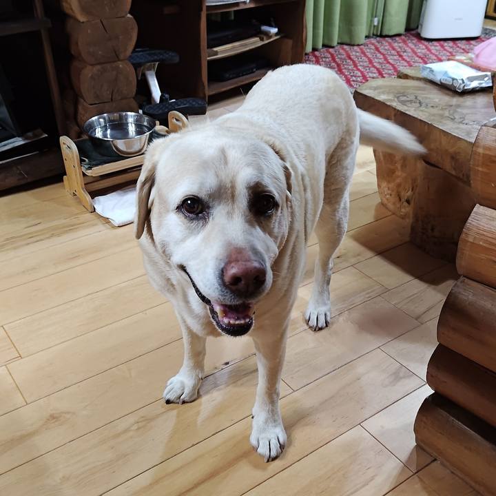 C32ab5cf 34c0 4c8e 836e 9a9f906e6962 1774011221974