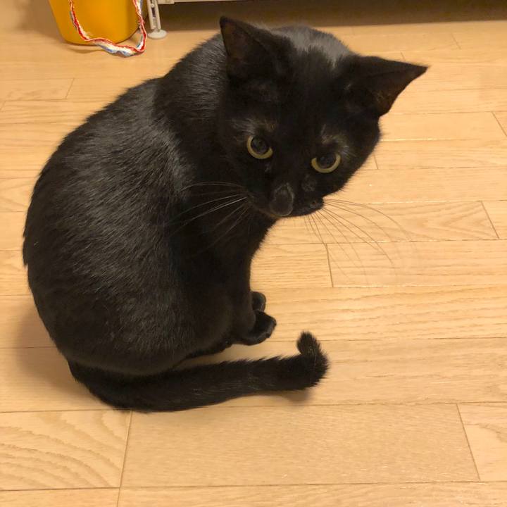 C32abca6 4783 4ea2 9d37 77c6eff9d88c 1552226232333