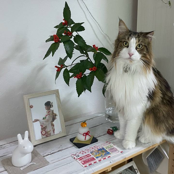 C32ac1b3 2cb7 45c6 a291 0a39e6f7497d 1672609053578