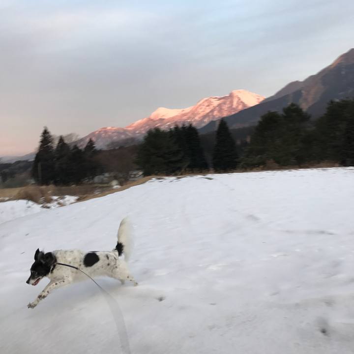 C32acefe c0d7 4fce 9e60 b7da4ba8b27c 1518164093938