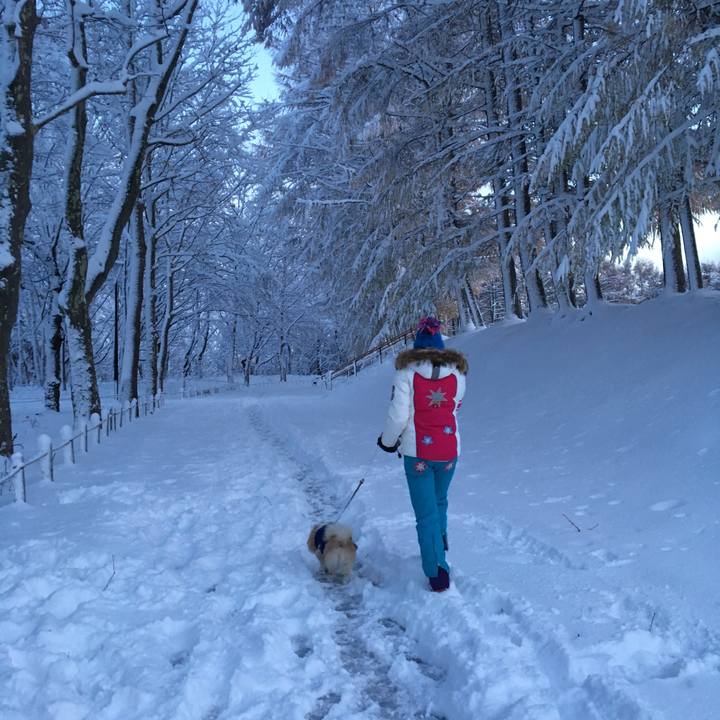 C32b126b 3b1c 46f9 953b 44bb86a5aa9a 1511086572058