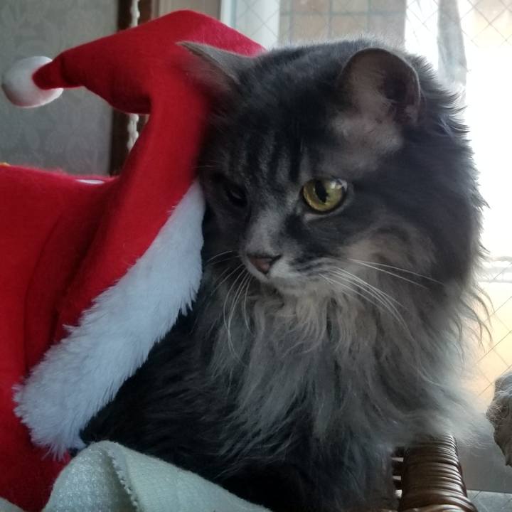 C32b2694 91e1 4361 a12a 986f3a7a9541 1573861123636