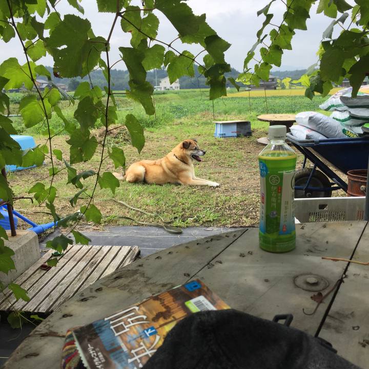 C32b34aa 8069 4061 9d57 7c161d2219ac 1567311497197