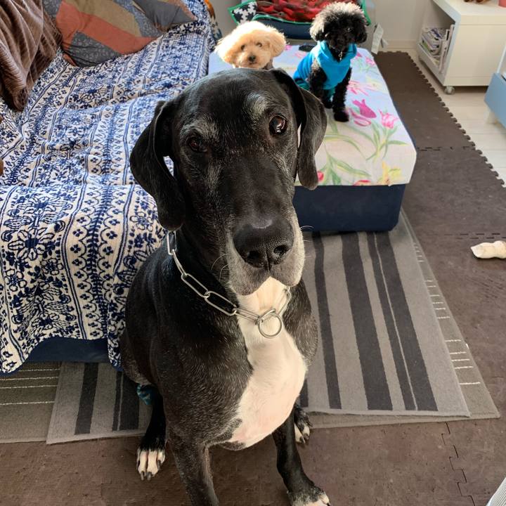 C32b3bb3 2e5f 4933 9e30 775f637c3f8e 1548716014982