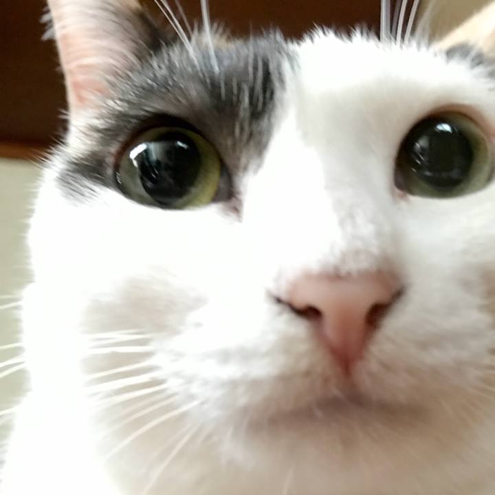 C32b98c0 7428 402d b827 c8c7c4827e14 1536991651073