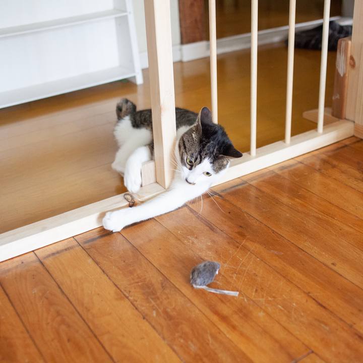 C32bd6df 1966 4b08 8fc7 7cad1dccf9ec 1551615024338