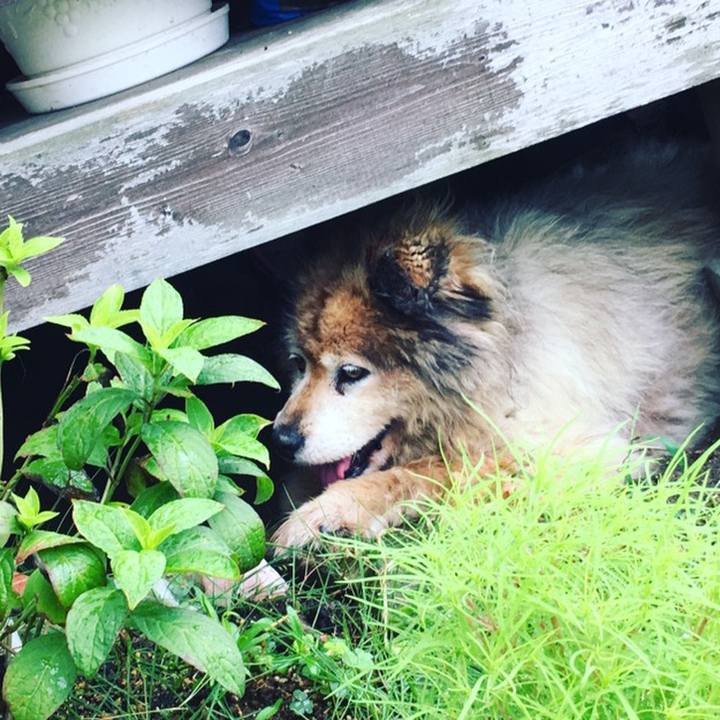 C32bdacd 45c4 407d bd85 648df585ab77 1571422461597