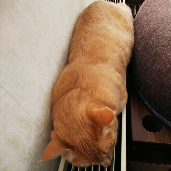 C32be37e 77e2 457b aa2d e1fd78a30c9c 1647738782347