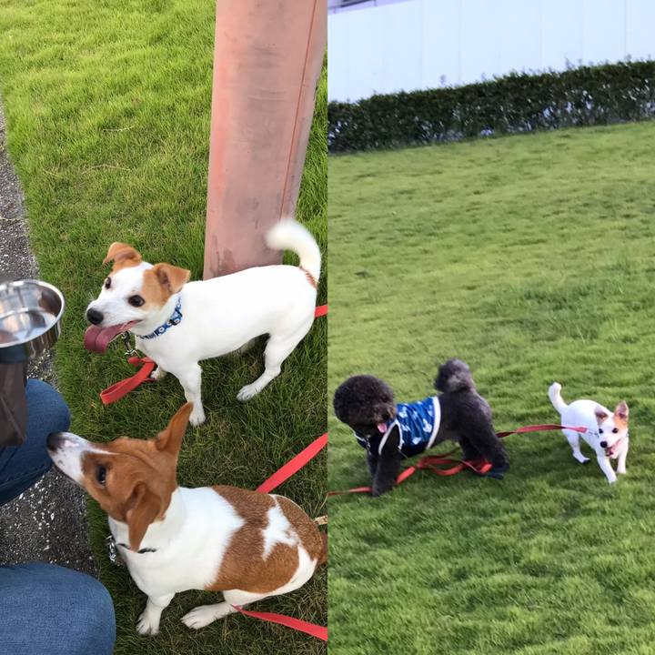 C32c06b5 6c66 4752 b7b6 7e490ce4fba0 1567335366503