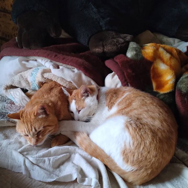 C32c2928 789b 4db7 872e 61cde84b3101 1746594746649