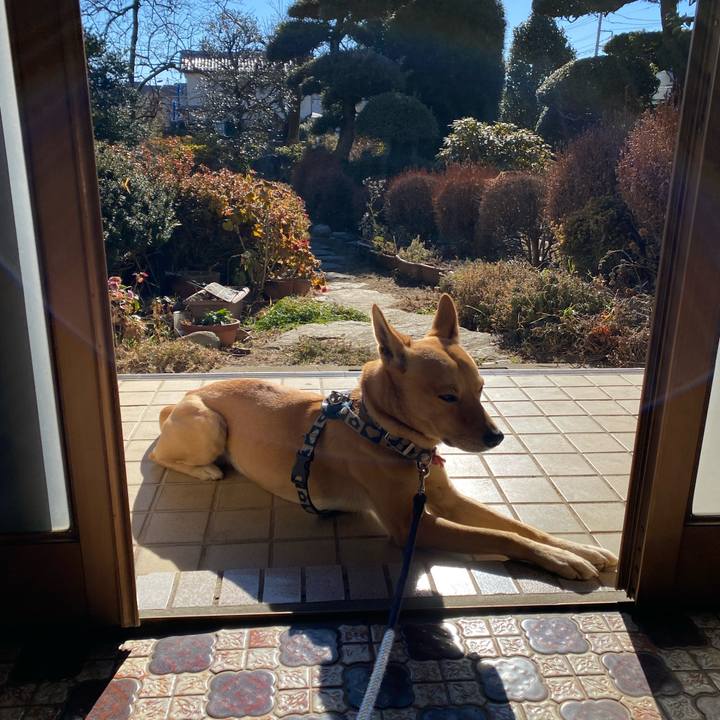 C32c72ba fac5 496b 805f 282e40245b08 1611105365606