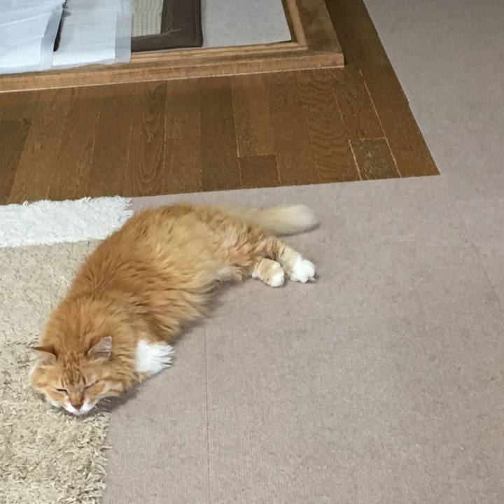 C32ca452 b351 4648 a3b2 5172c34ad08a 1528183393580