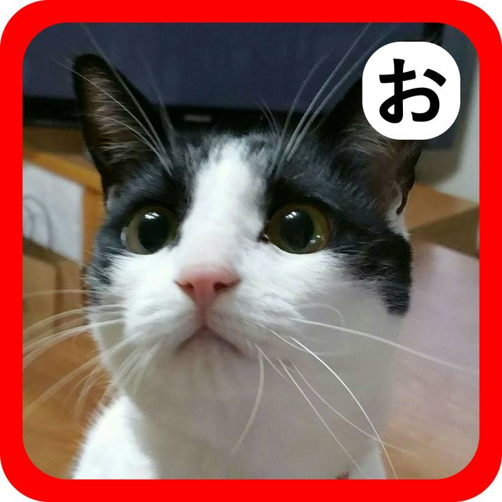 C32cbb23 1427 4824 be5e 54f517b69228 1514882985059