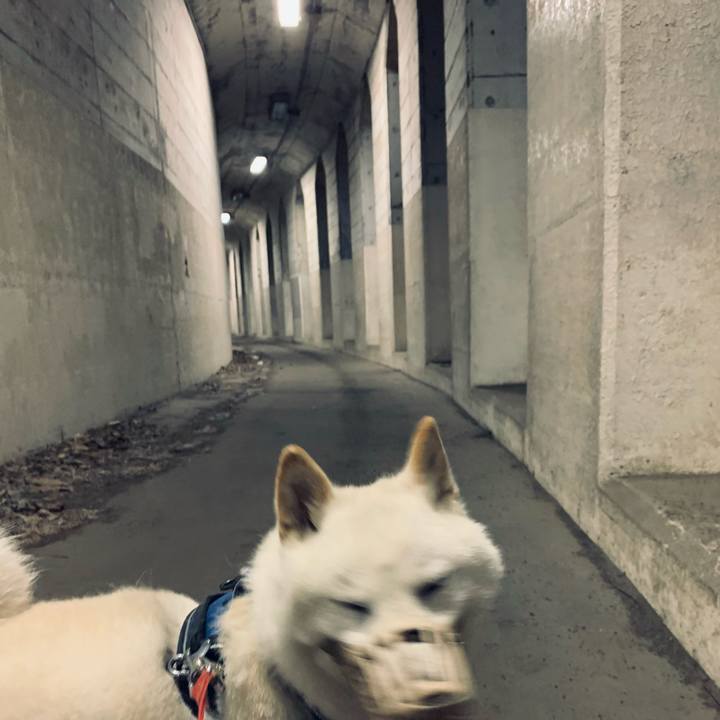 C32ceda1 2d29 44d9 9265 1450f49d810b 1623703986748