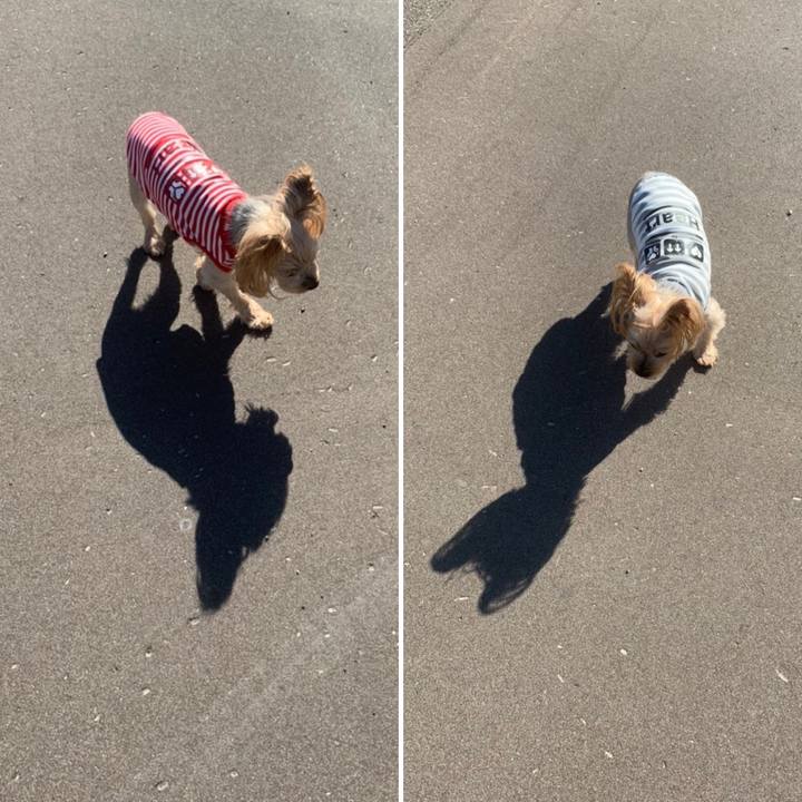 C32cfb84 b207 43d6 9c08 f510b7d4dfbe 1632391663637