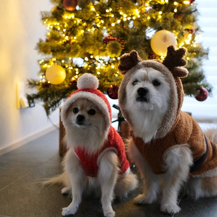 C32d02da 68db 401e 938b 807fcd62f278 1766613878399