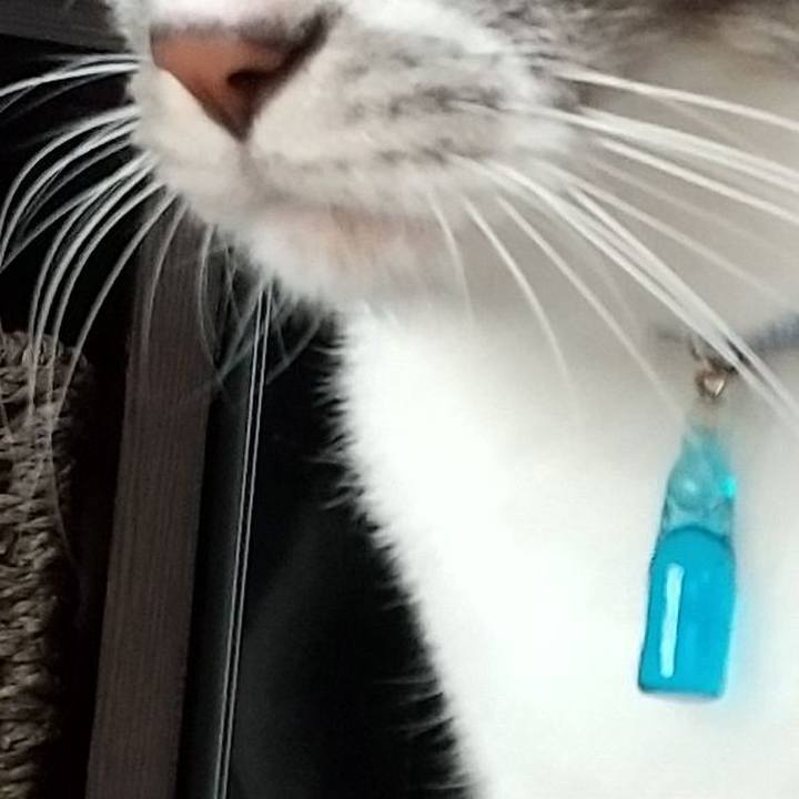 C32d4be0 b595 4382 94bd 548e573dd661 1614549909468