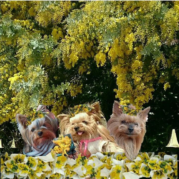 C32dd378 2acc 4632 9c99 11d8bf34b214 1615184664566