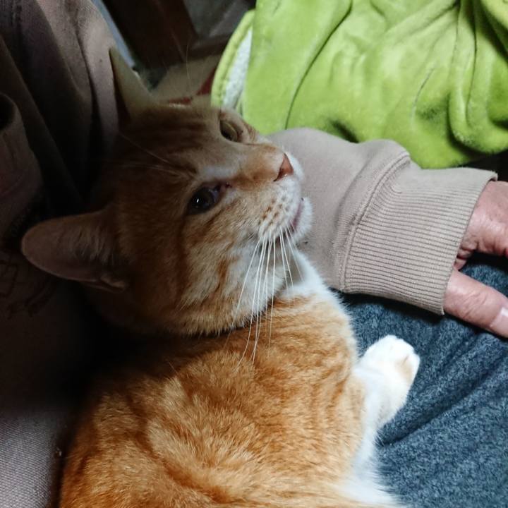 C32de1ba 36f0 45fa 95d3 3b1af55becf3 1583437780387