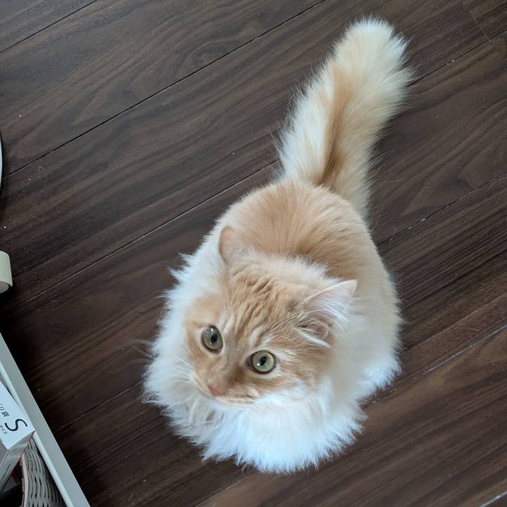 C32df2a8 dc02 45d0 a833 bafc21009783 1747274067443