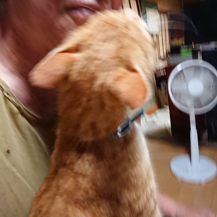 C32e358f 696b 4d26 8a35 97d3e965a925 1598819516378